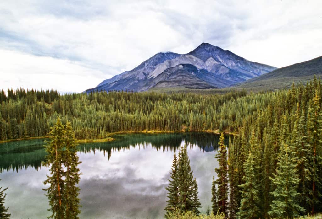 Tapping the Content Marketing Wilderness of Ello
