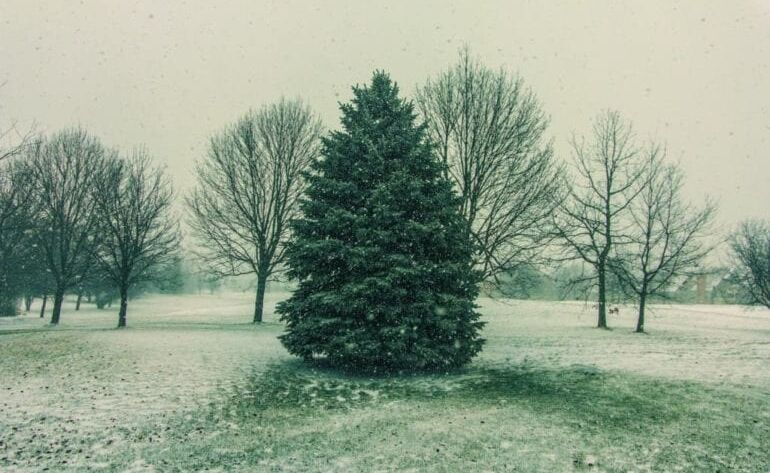 St. Patrick's Day Parade