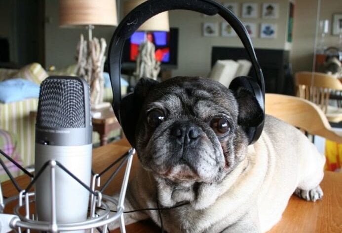 Social Media Traffic Decline