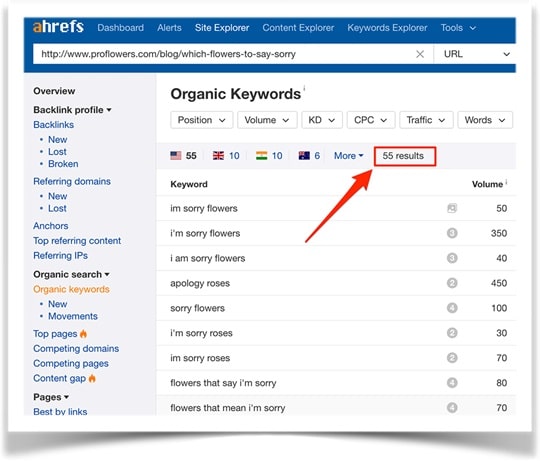 Ahrefs can help guide your keyword research.