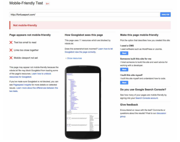 Mobile Friendly Test Tool report