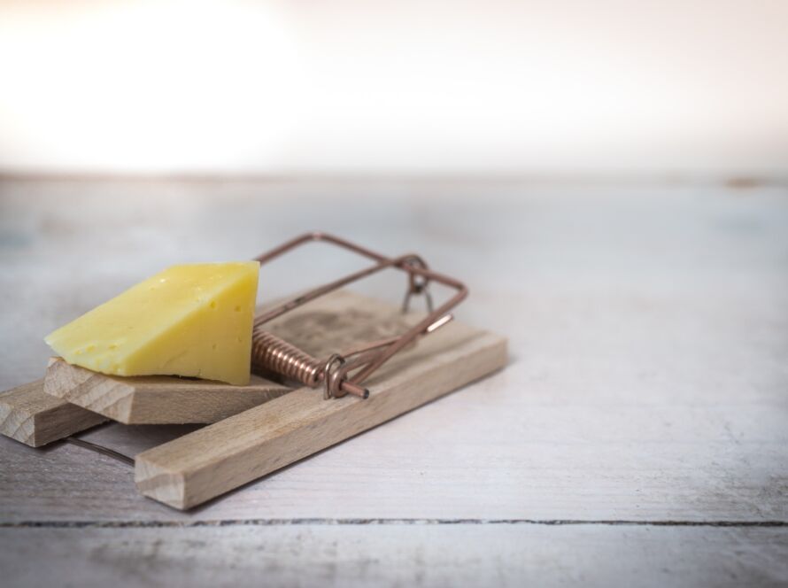 Personalized Content